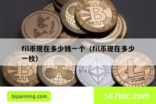 fil币现在多少钱一个（fil币现在多少一枚）