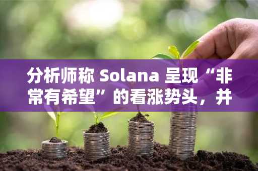 分析师称 Solana 呈现“非常有希望”的看涨势头，并预测两种低市值山寨币将出现反弹