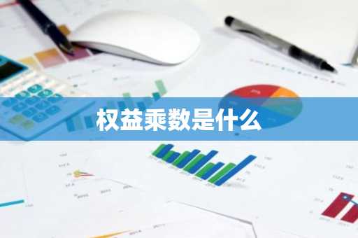 权益乘数是什么