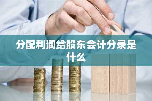 分配利润给股东会计分录是什么