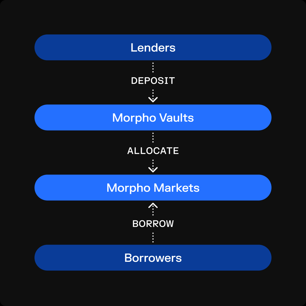 MORPHO币前景如何 值得投资吗-第8张图片-欧意易易下载