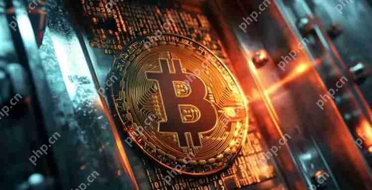 2025币圈常用虚拟币交易所推荐（附注册教程）