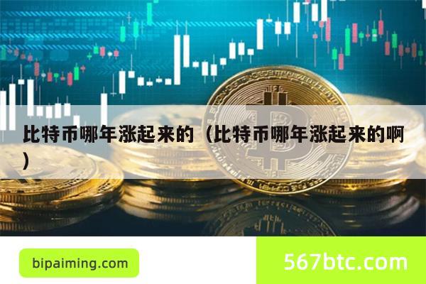 比特币哪年涨起来的（比特币哪年涨起来的啊）