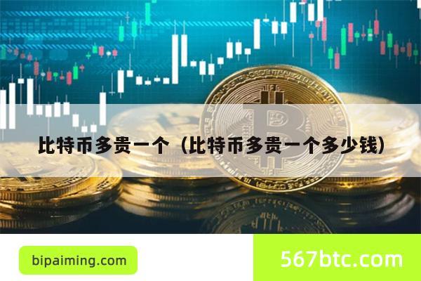 比特币多贵一个（比特币多贵一个多少钱）