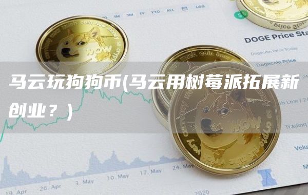 马云玩狗狗币 - 马云用树莓派拓展新创业？