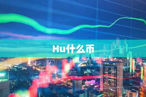 Hu什么币