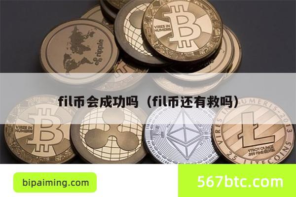 fil币会成功吗（fil币还有救吗）