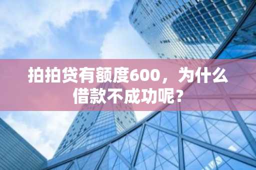 拍拍贷有额度600，为什么借款不成功呢？