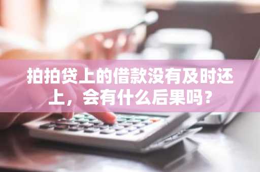 拍拍贷上的借款没有及时还上，会有什么后果吗？