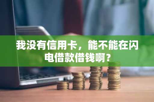 我没有信用卡，能不能在闪电借款借钱啊？