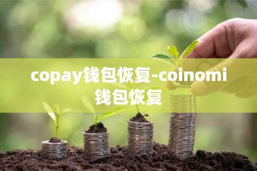 copay钱包恢复-coinomi钱包恢复