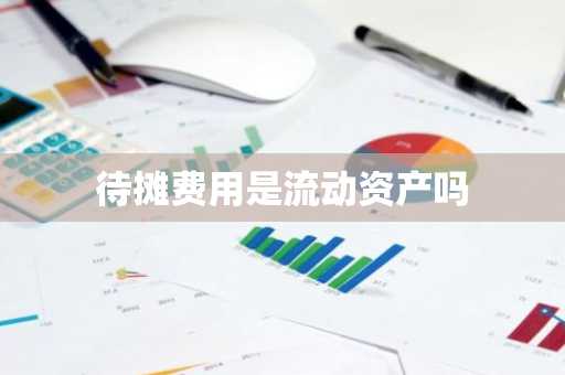 待摊费用是流动资产吗