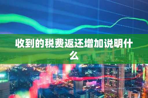 收到的税费返还增加说明什么