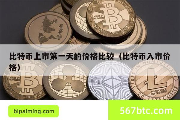 比特币上市第一天的价格比较（比特币入市价格）