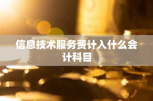 信息技术服务费计入什么会计科目