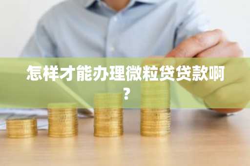怎样才能办理微粒贷贷款啊？