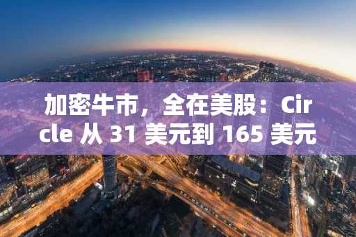 加密牛市，全在美股：Circle 从 31 美元到 165 美元的十天