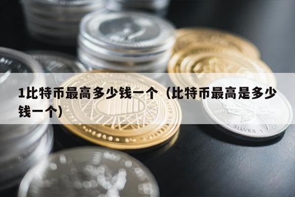 1比特币最高多少钱一个（比特币最高是多少钱一个）