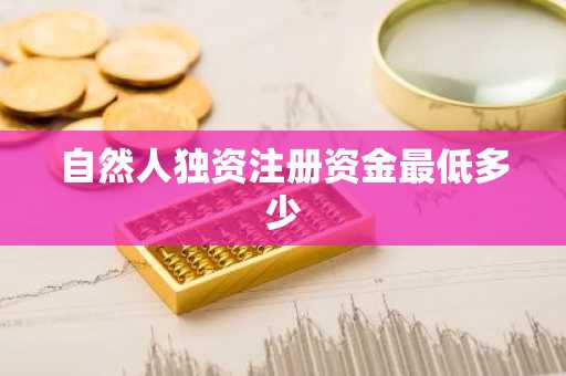 自然人独资注册资金最低多少