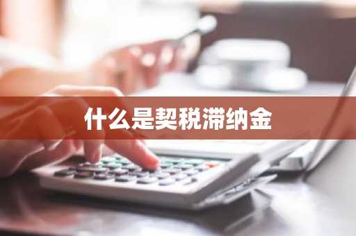什么是契税滞纳金
