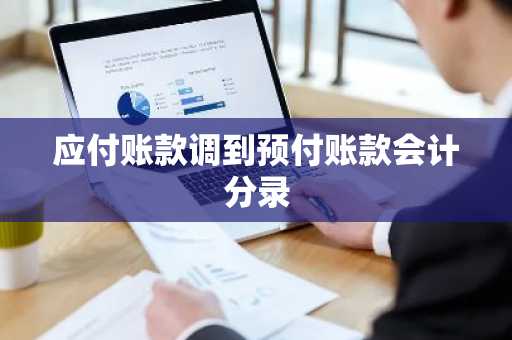 应付账款调到预付账款会计分录