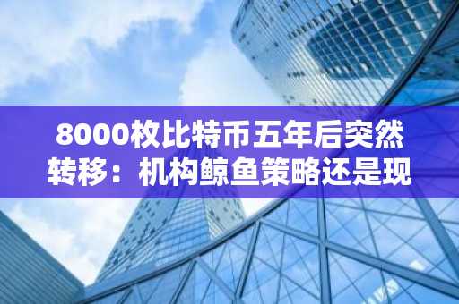 8000枚比特币五年后突然转移：机构鲸鱼策略还是现货ETF布局？
