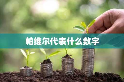 帕维尔代表什么数字
