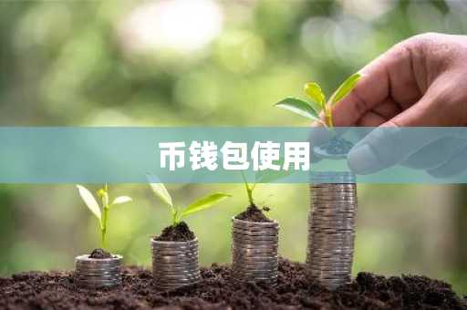 币钱包使用