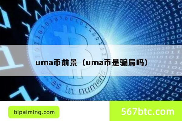 uma币前景（uma币是骗局吗）