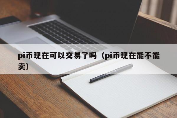 pi币现在可以交易了吗（pi币现在能不能卖）