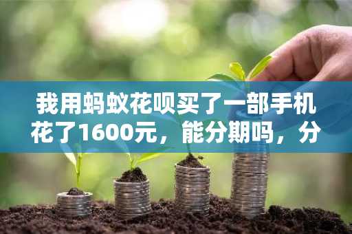 我用蚂蚁花呗买了一部手机花了1600元，能分期吗，分期还款条件有哪些？