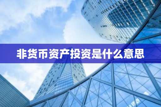 非货币资产投资是什么意思