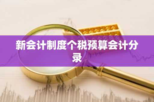 新会计制度个税预算会计分录