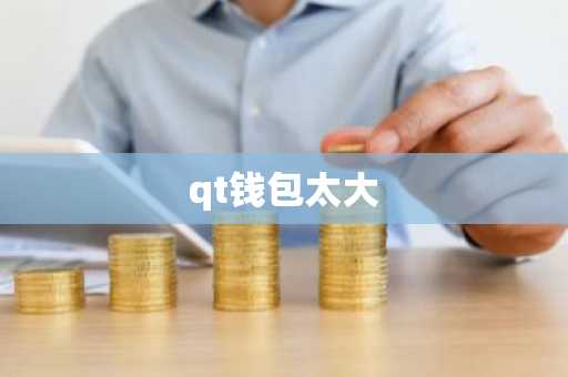 qt钱包太大