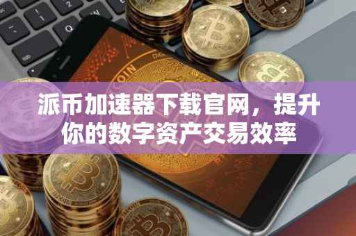 派币加速器下载官网，提升你的数字资产交易效率