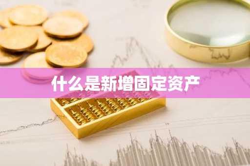 什么是新增固定资产
