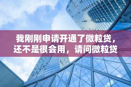我刚刚申请开通了微粒贷，还不是很会用，请问微粒贷是怎么借钱的？
