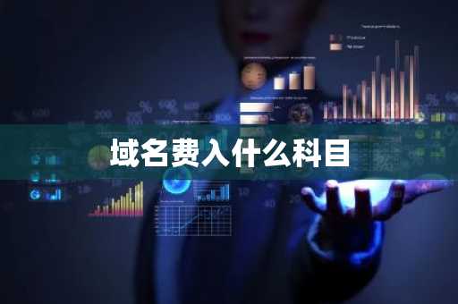 域名费入什么科目