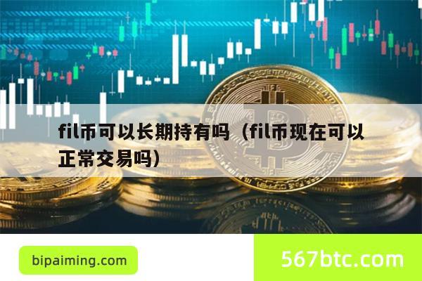 fil币可以长期持有吗（fil币现在可以正常交易吗）