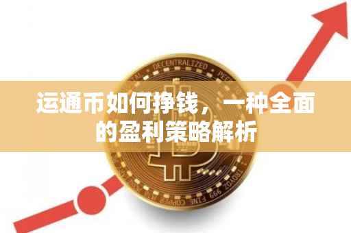 运通币如何挣钱，一种全面的盈利策略解析