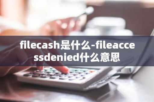 filecash是什么-fileaccessdenied什么意思