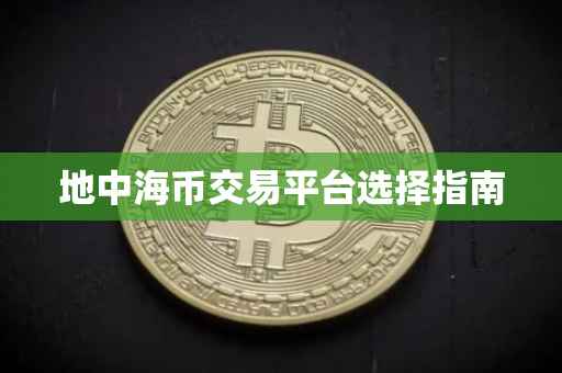 地中海币交易平台选择指南