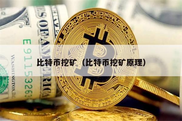 比特币挖矿（比特币挖矿原理）