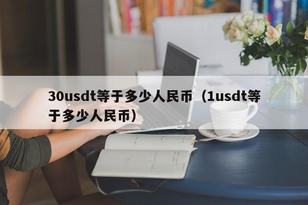 30usdt等于多少人民币（1usdt等于多少人民币）