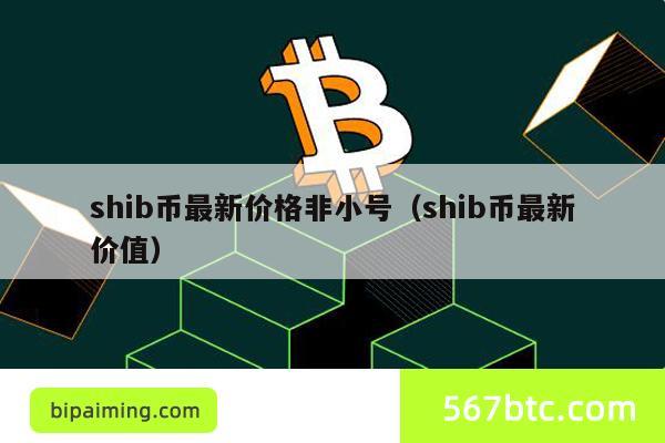 shib币最新价格非小号（shib币最新价值）