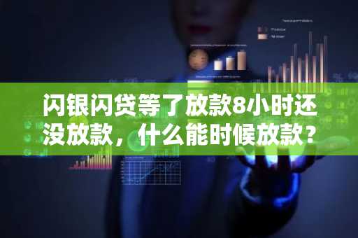 闪银闪贷等了放款8小时还没放款，什么能时候放款？