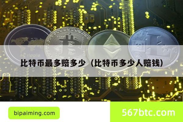 比特币最多赔多少（比特币多少人赔钱）
