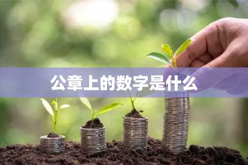 公章上的数字是什么