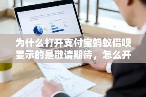 为什么打开支付宝蚂蚁借呗显示的是敬请期待，怎么开通借呗？