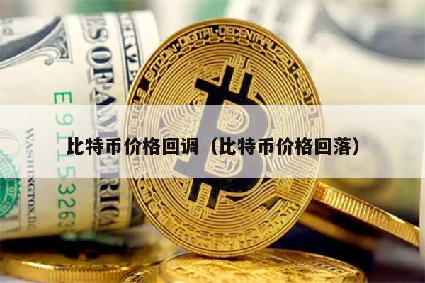 比特币价格回调（比特币价格回落）